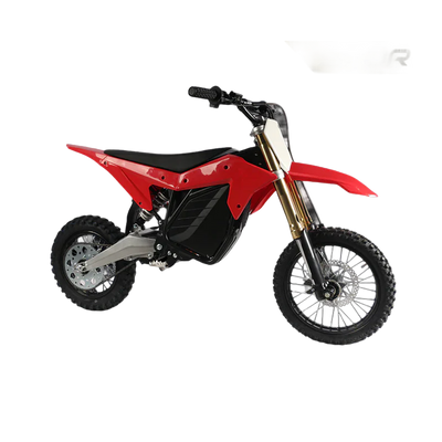 Electro & Co ETM RTR Sport