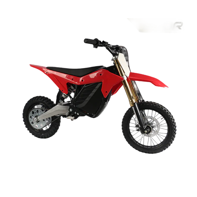 Electro & Co ETM RTR Sport