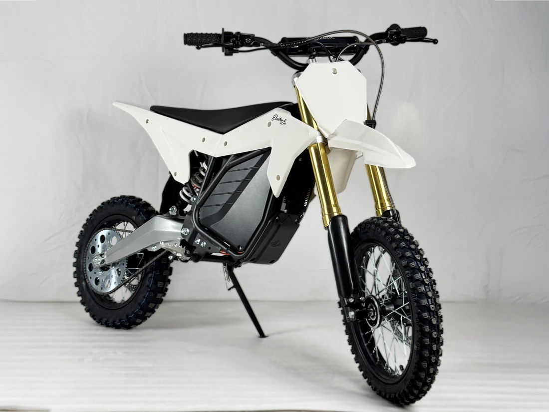 Electro & Co ETM RTR Sport