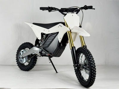 Electro & Co ETM RTR Sport