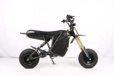 Le Rizzler Bike
