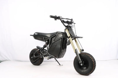 Le Rizzler Bike