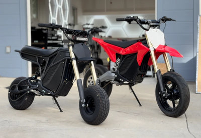 Le Rizzler Bike