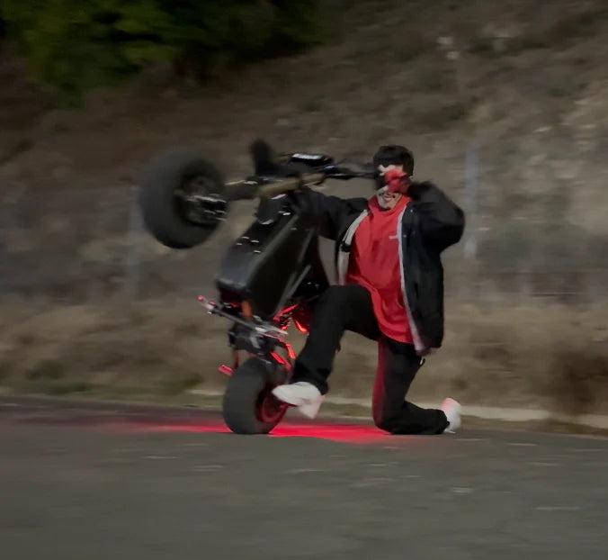 Le Rizzler Bike