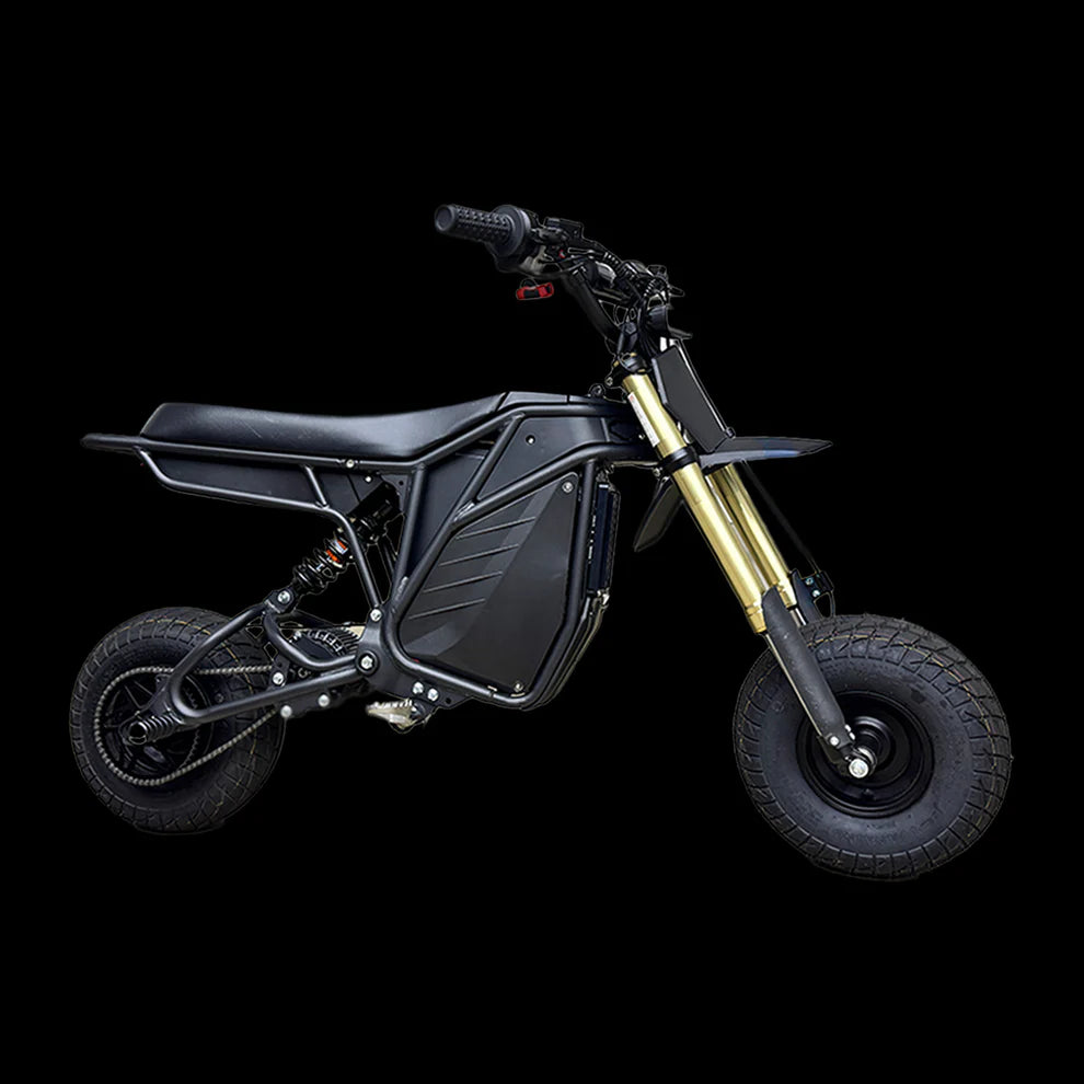 Le Rizzler Bike