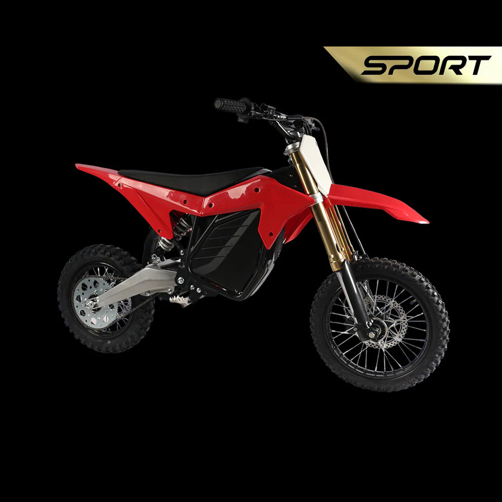 Electro & Co ETM RTR Sport